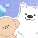 메이트 피티 이미지