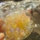 민복기사식당 | 대구에서 상하이 여행 1일차 중국동방항공-더이튼호텔-사계민복-메이투안 배달