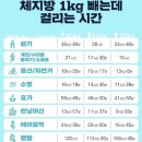 다온점핑다이어트 이미지