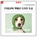 패션디자인(초급) 이미지