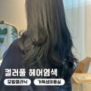 컬러풀 헤어염색 모발클리닉 후기 정왕 배곧 미용실