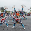 TEAM Y 골프 트래블바이크