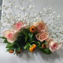 전혜숙농장 이미지