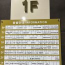 단정하개 이미지