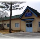 김유정역 닭갈비 이미지