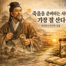 *황금 근담(🌺죽음을 준비하는 사람이 가장 잘 산다---사마천 사기 발췌 ​🌺)2026년10월6일* 이미지