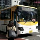 뉴대호운수 이미지