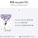 와우리 45-15 | 4. 카드와 통장을 쪼개보자