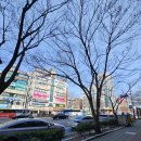 울산하트내과의원 이미지