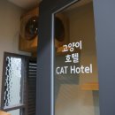 이매 동물병원 이미지