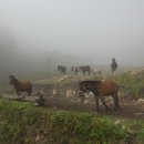 하늘숲민박 이미지