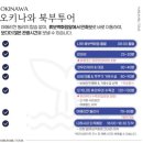 대교카삽 | 여행 뚜벅이 꿀팁 4️⃣] 하루하루 오키나와 북부 버스투어 후기/만좌모,추라우미 수족관,아메리칸빌리지 등