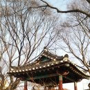 고산사목조석가모니불좌상 이미지