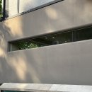 창원 가로수길 카페 도돌커피로스터스 디저트 추천