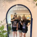시도 3호선 버즘나무 | 하동여행2박3일 2일차 화개장터 /밤톨 / 화동꿀배주/ 최첨판댁/ 박경리문학관/ 스타웨이 선셋 / 돌팀이횟집
