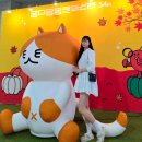 펫츠플레이트 | [궁디팡팡 캣페스타 일산 킨텍스] 사전예매로 다녀온 7살 고양이 집사 간식,장난감 득템 후기