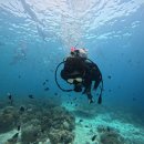 하도방학 이미지