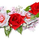 팔룡동540 이미지