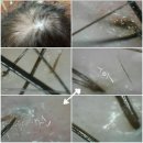 오땡큐 염색 이미지