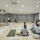 놀터