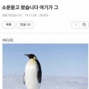 솔가 숯불갈비 이미지