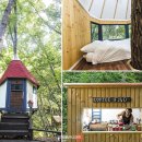 트리하우스 이미지