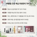 로얄컨설팅 이미지