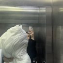 뽀솜이빨래방 이미지