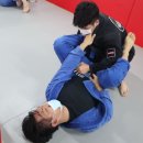 감삼주짓수