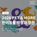 h&more(에이치앤모어) | PET&MORE 부산 반려동물 박람회 총정리! 2026 펫앤모어 부산 반려동물 박람회 사전등록중! 벡스코 근처...