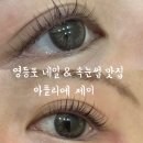 영등포 네일 속눈썹 맛집 아뜰리에제이에서 젤네일+ 속눈썹펌 받고온 후기