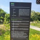 행정사이강칠사무소 | 평화의 길 9코스(율곡습지공원 - 두포교차로 - 파평면사무소 - 리비교거점센터)