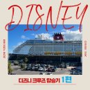 티엠케이 | ✨디즈니 탑승기✨ 예약부터 탑승까지 A TO Z 총정리 #1