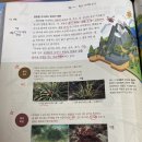 하해원
