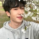 최수호 카카오 검색결과