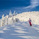 SUN STAY HOTEL 이미지