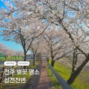 용흥중학교 | 전주 벚꽃 명소 천변 개화 상태 실시간