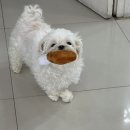 퀴즈노스구미원호도량점 이미지