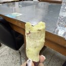 신안 조은한의원 앞 | 나의 내일이 뛰어오네