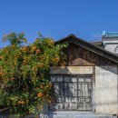 맘스터치 자인점 이미지