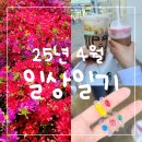 교촌치킨(동산점) | 25. 4월 일상 일기