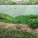 내성고등학교
