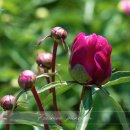 도동종합자동차정비 이미지