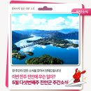 꿈드래장애인협회 진안군지부 | [위클리 진안] 5월 다섯번째주 진안군 주간소식!
