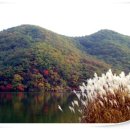 유정낚시터 이미지