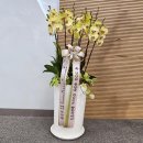 중앙대학교 건설대학원 이미지