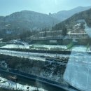 갑자기 스키장 하이원 렛츠고 3탄