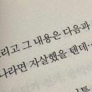 양이네 이미지