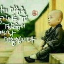 개곡지 이미지