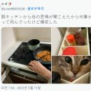 엄마부엌
